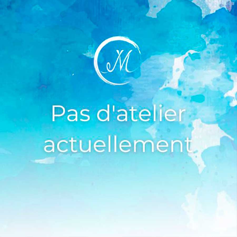 Pas d'atelier actuellement avec Manon Soubeyran